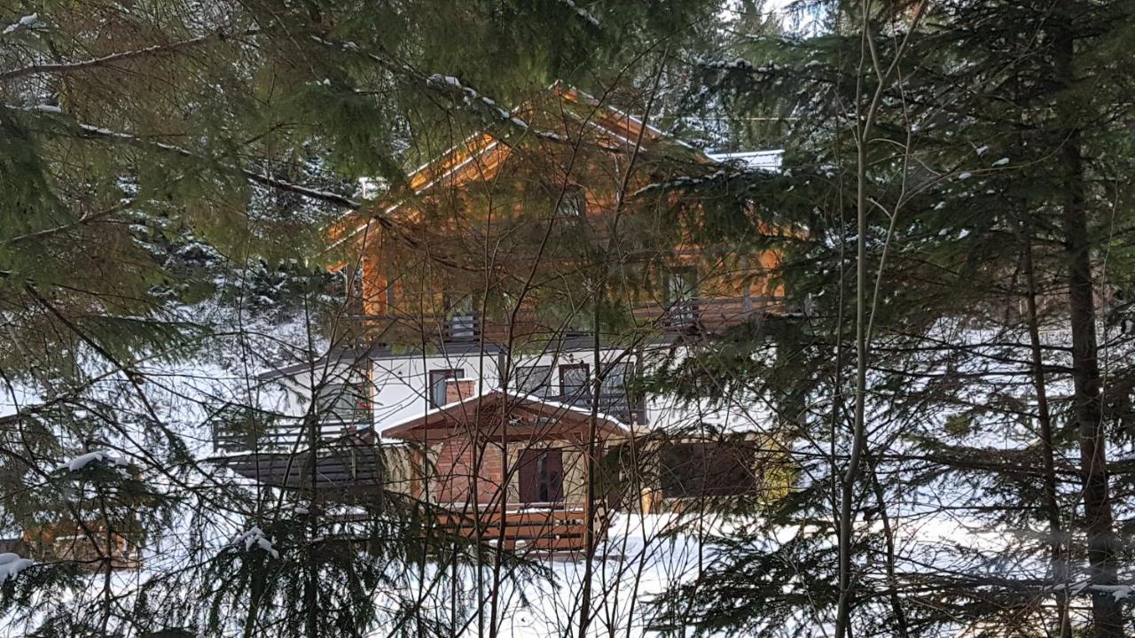 Pensiunea Waldhaus - Vatra Dornei Exterior foto