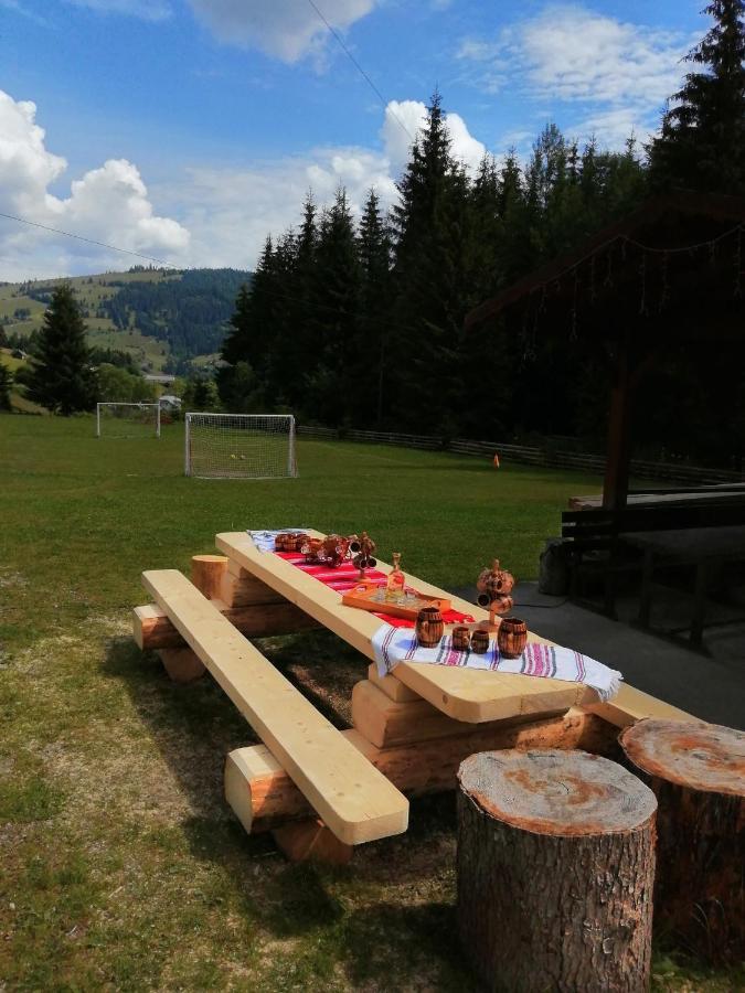 Pensiunea Waldhaus - Vatra Dornei Exterior foto